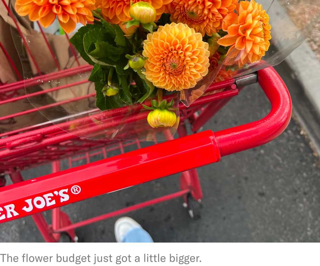 Trader Joe's cart